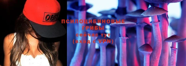 скорость Нея