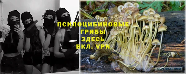 скорость Нея